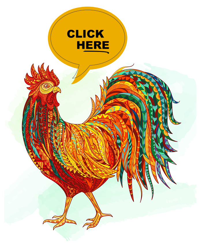 Rooster — click for the Palanca letter